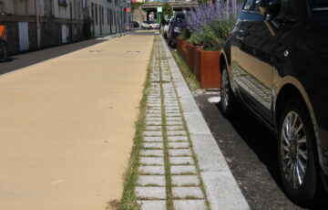 Image présentation